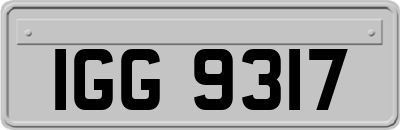 IGG9317