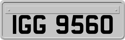 IGG9560