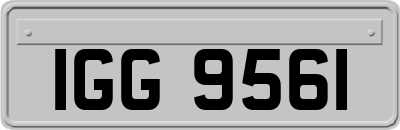 IGG9561