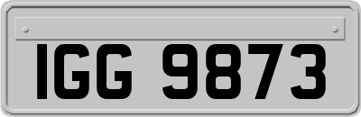 IGG9873