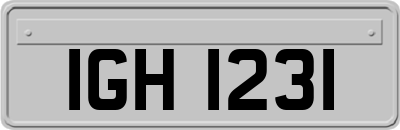 IGH1231