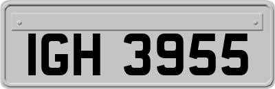 IGH3955