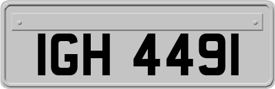 IGH4491
