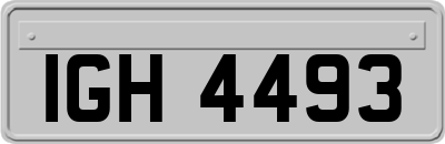 IGH4493