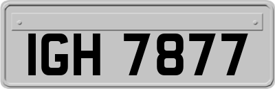 IGH7877