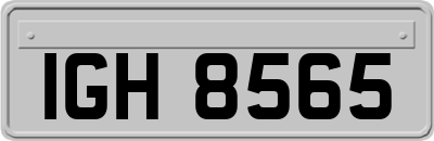 IGH8565