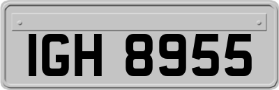 IGH8955