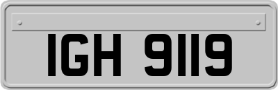 IGH9119
