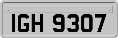IGH9307