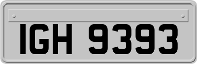 IGH9393
