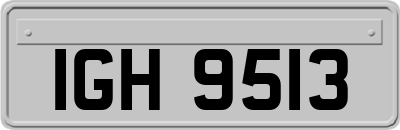 IGH9513