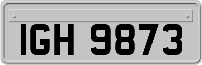 IGH9873