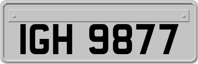 IGH9877