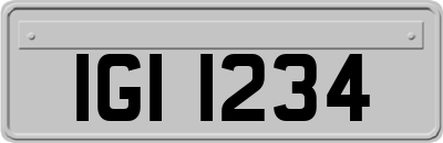 IGI1234