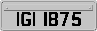 IGI1875