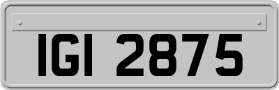 IGI2875