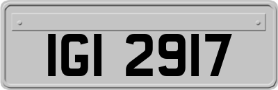 IGI2917