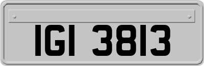 IGI3813