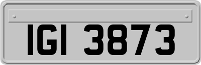 IGI3873