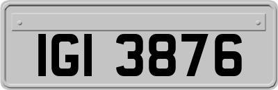 IGI3876