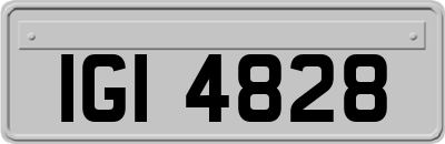 IGI4828