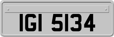 IGI5134