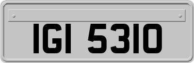 IGI5310