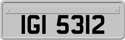 IGI5312