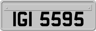 IGI5595