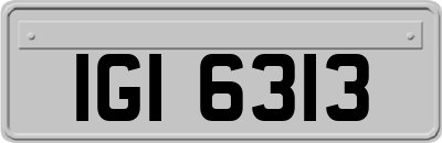 IGI6313