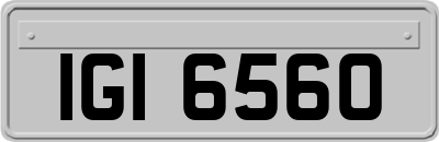 IGI6560