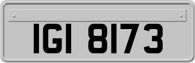 IGI8173