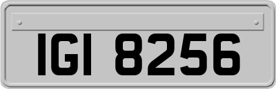 IGI8256