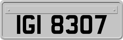 IGI8307