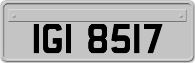 IGI8517
