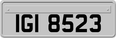 IGI8523