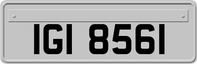 IGI8561