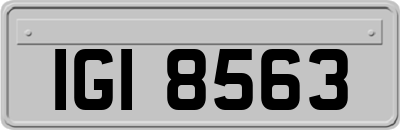 IGI8563