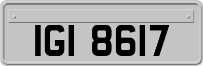IGI8617
