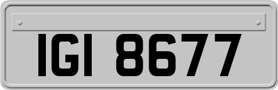 IGI8677