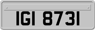 IGI8731