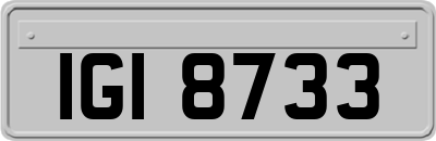 IGI8733