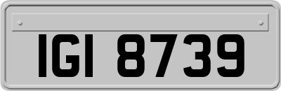 IGI8739