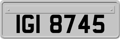 IGI8745