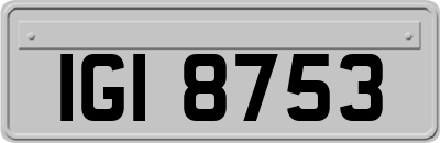 IGI8753
