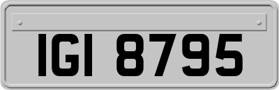 IGI8795
