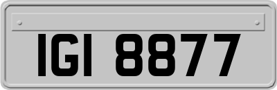 IGI8877
