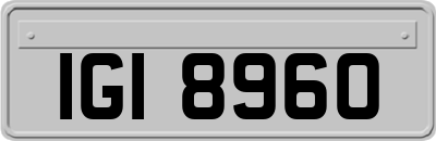 IGI8960