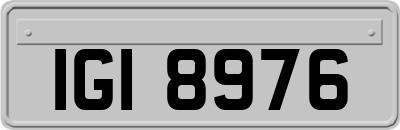 IGI8976
