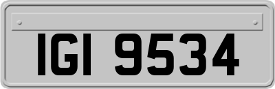 IGI9534